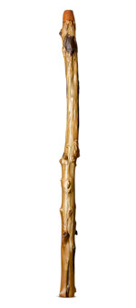 Heartland Didgeridoo (HD490)